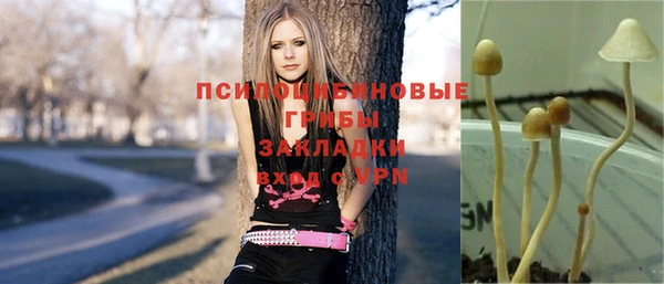 тгк Арсеньев
