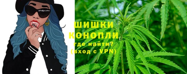 тгк Арсеньев