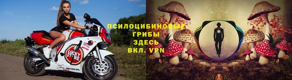 тгк Арсеньев