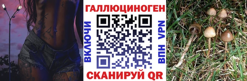 Псилоцибиновые грибы MAGIC MUSHROOMS  Болхов 
